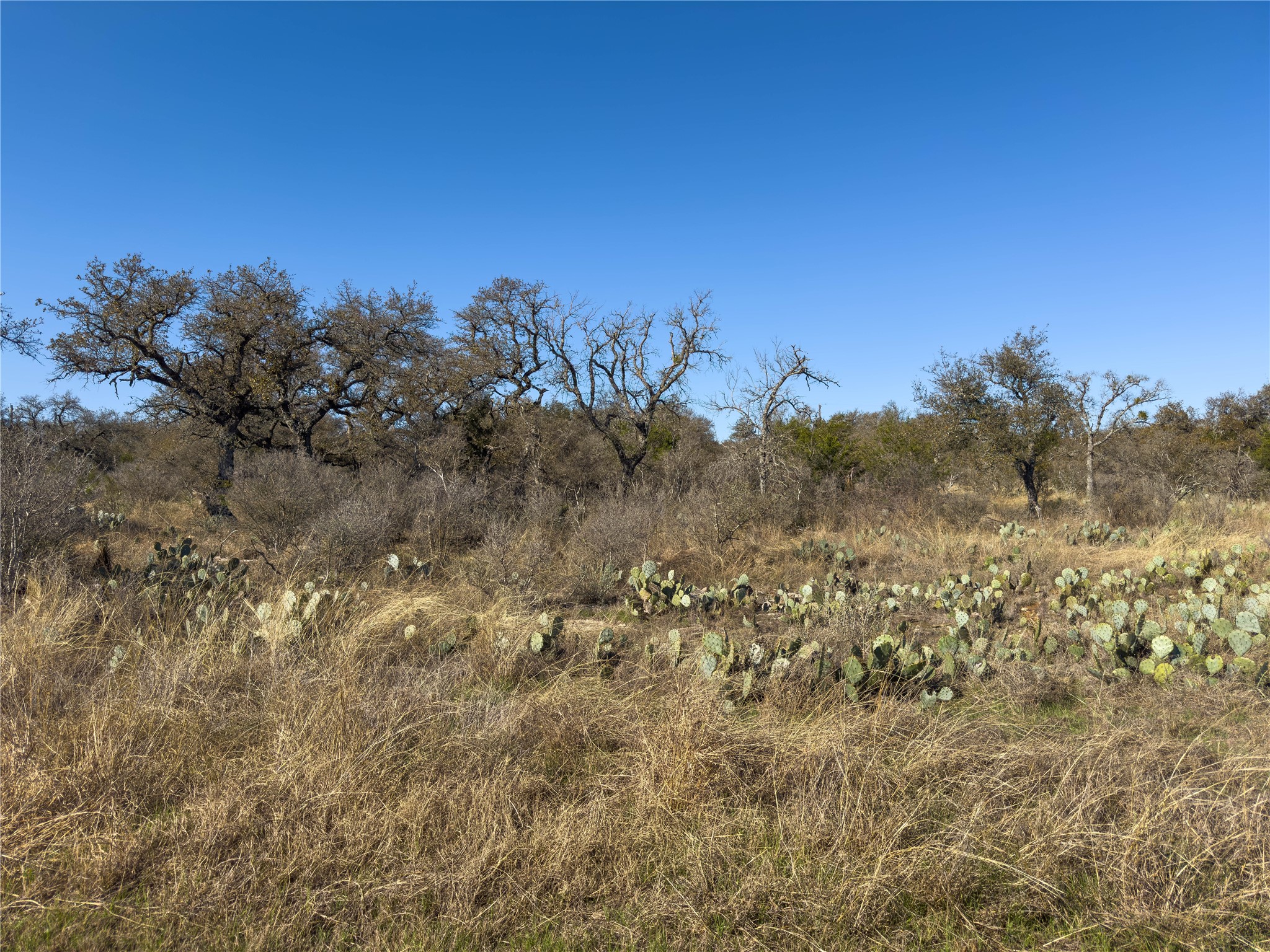 Lot 20 Comanche Ridge Round Mountain, TX 78663 - Photo 26 of 34 LOT 20 STREET LEVEL