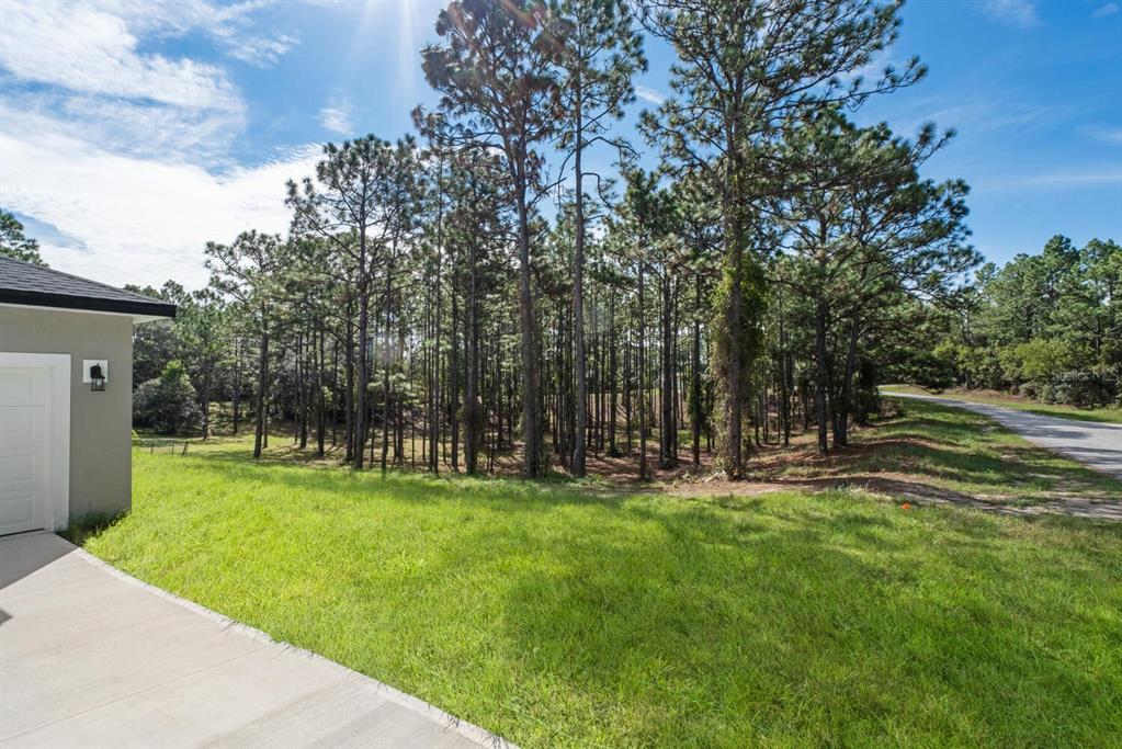 9371 North Cougar Paw Drive Dunnellon, FL 34433 - Photo 5 of 34 a backyard of a house with lots of green space