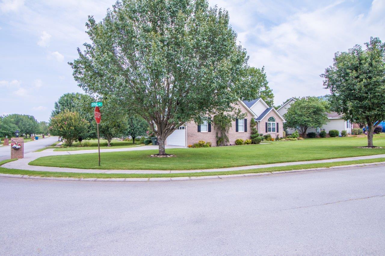 195 Cardinal Road Ringgold, GA 30736 - Photo 32 of 34 cardinal -31
