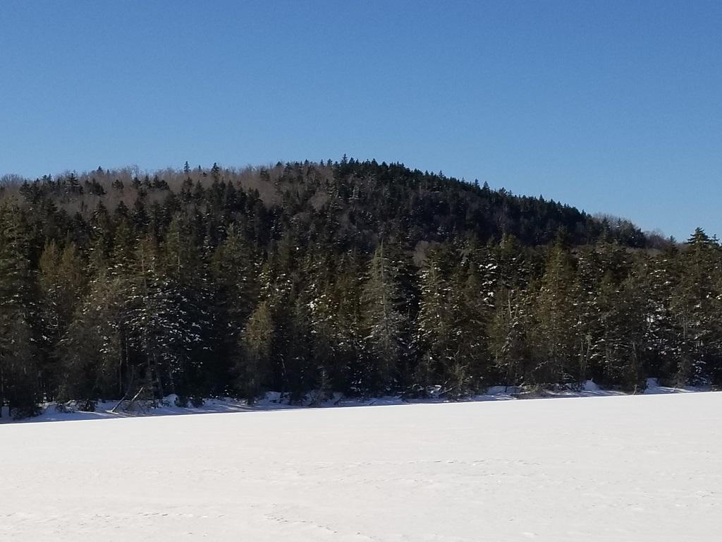0 Scott Road West Forks, ME 04985 - Photo 8 of 15 20190219_131208
