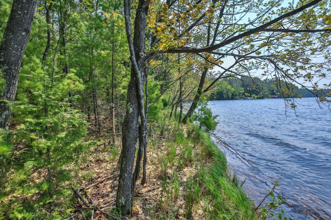 On Squirrel Lake Road, Unit LOT #2 Minocqua, WI 54548 - Photo 13 of 25 Gallery Image 13