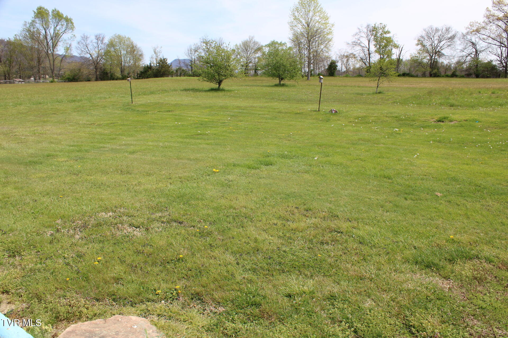 574 Bailey Street Greeneville, TN 37745 - Photo 10 of 28 IMG_0152