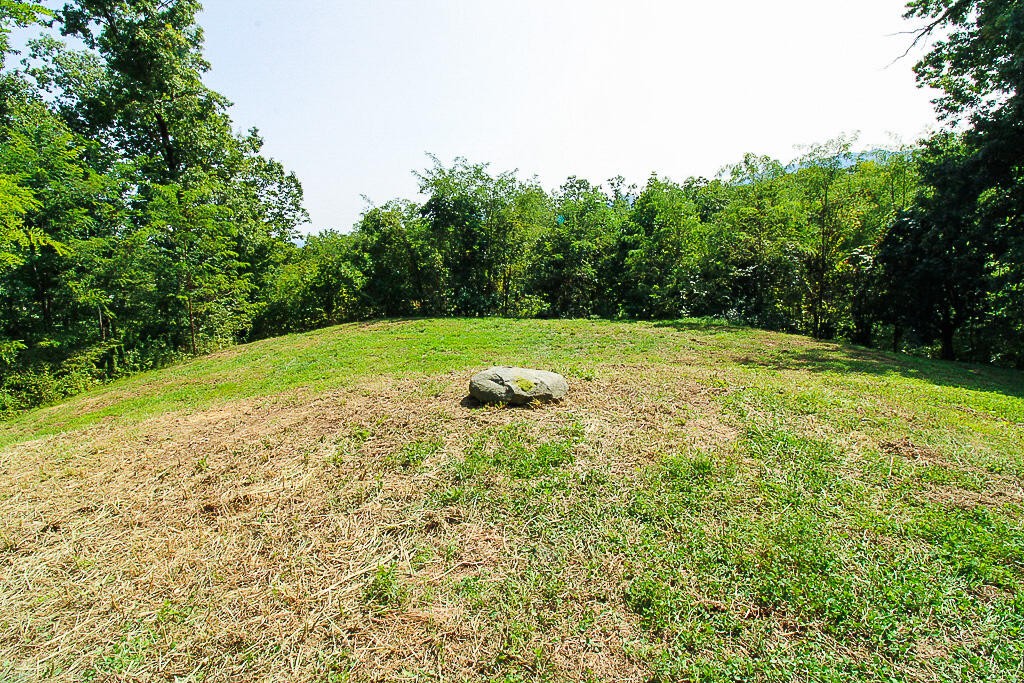1468 Laurel Road Gatlinburg, TN 37738 - Photo 22 of 40 Gallery Image 22