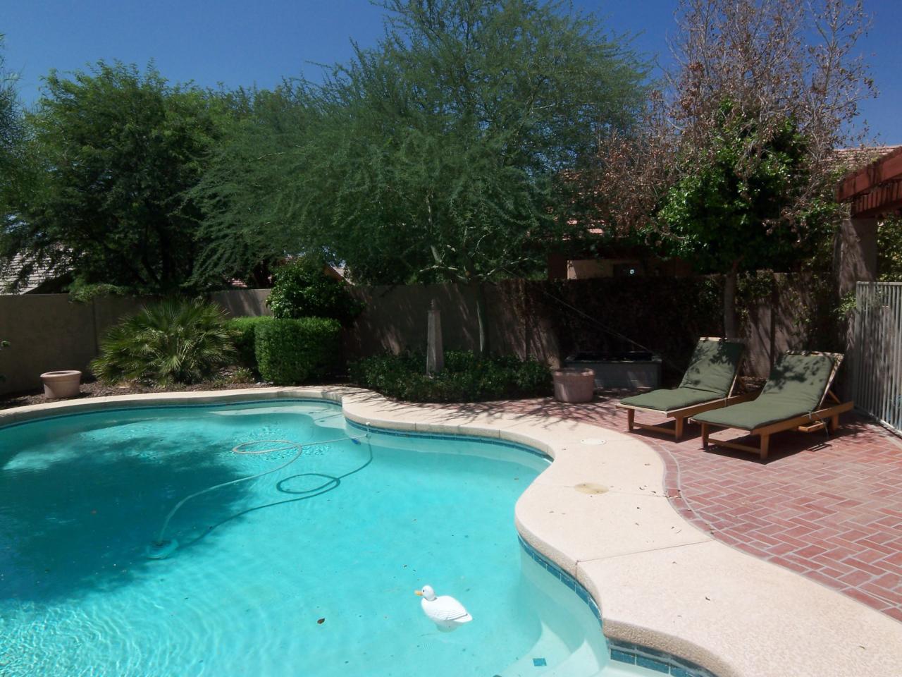 4707 East Weaver Road Phoenix, AZ 85050 - Photo 2 of 13 Paradise in Your Own Backyard!