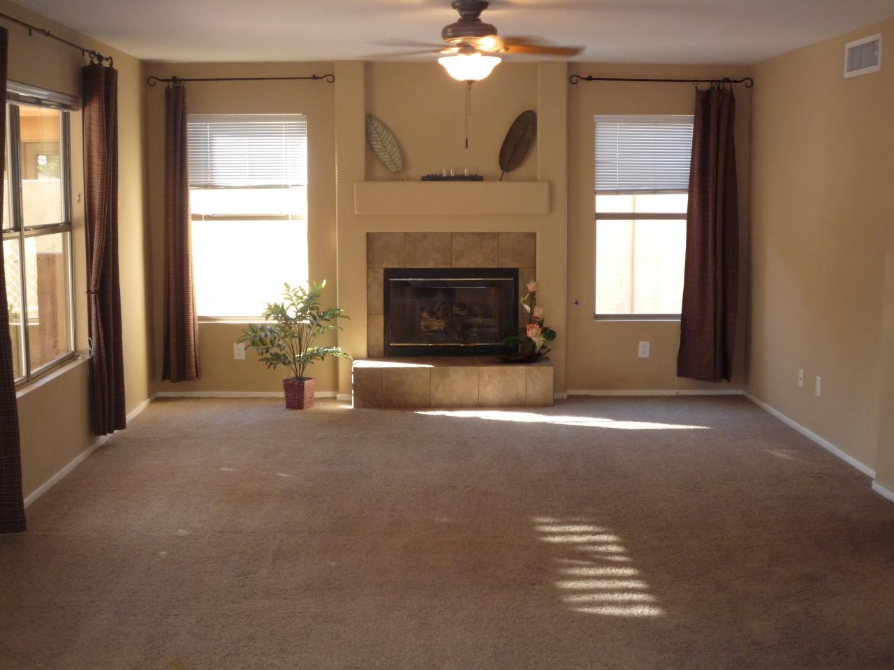4707 East Weaver Road Phoenix, AZ 85050 - Photo 3 of 13 Living Room