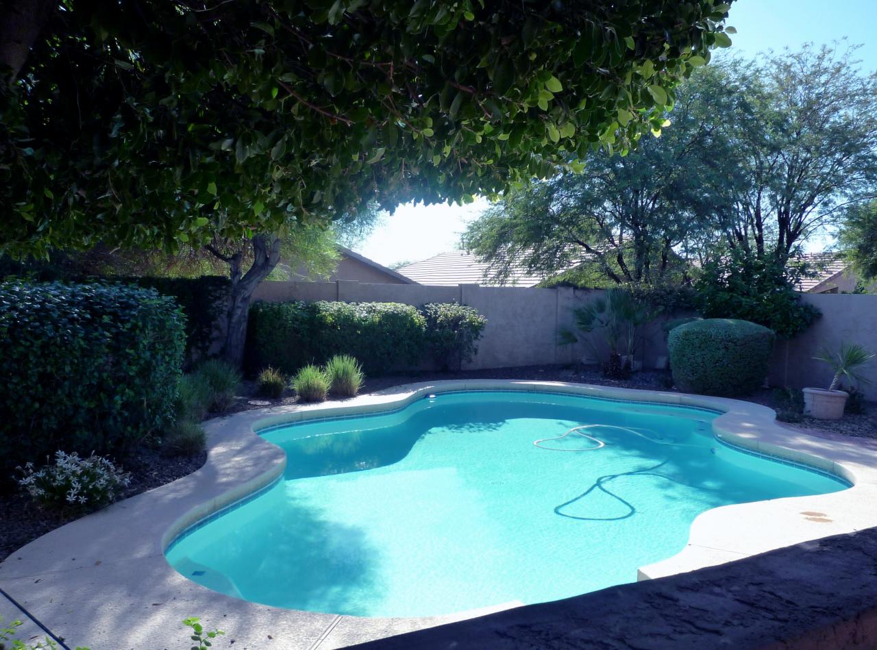 4707 East Weaver Road Phoenix, AZ 85050 - Photo 7 of 13 Private backyard with mature landscaping