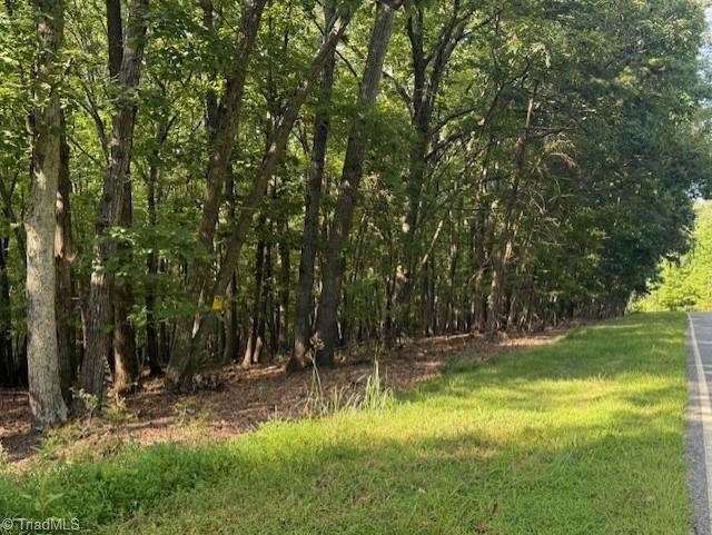 558 Cedar Mountain Road Mayodan, NC 27027 - Photo 12 of 12 Gallery Image 12