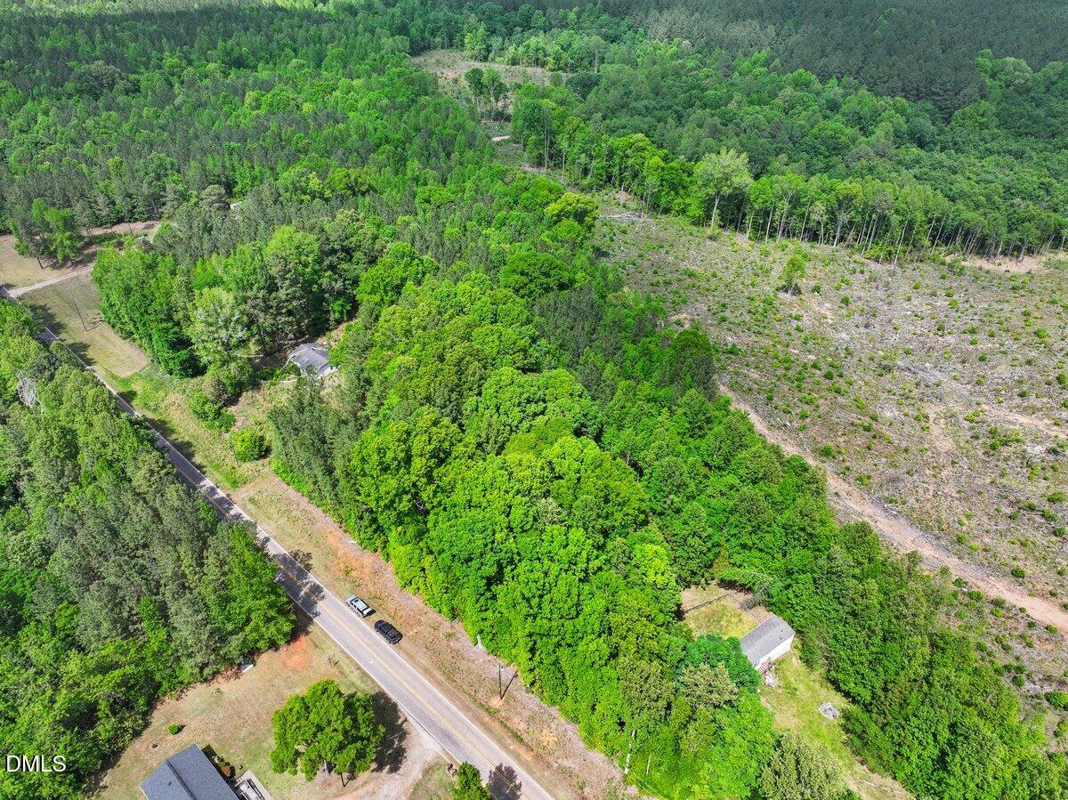 641 Ernest Turner Road Warrenton, NC 27589 - Photo 6 of 9 a view of a lush green forest with large trees