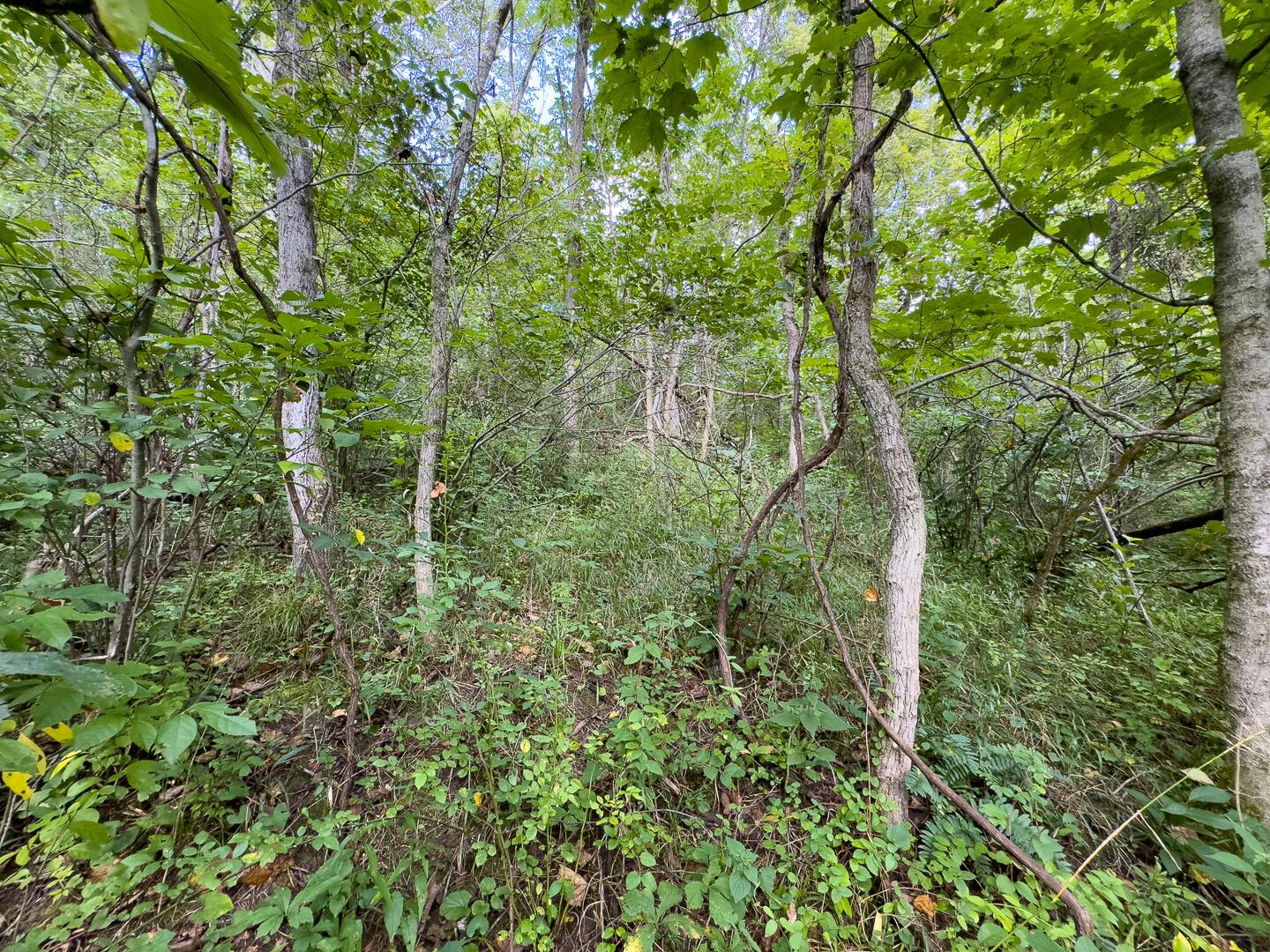 0 East Sand Ridge Road, Unit 338 Albany, OH 45710 - Photo 18 of 30 18-0 Sand Ridge Rd Ground-12