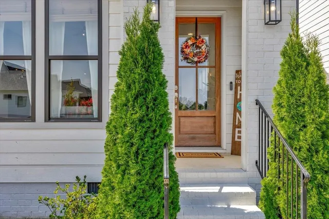 a potted plant in front of a house
