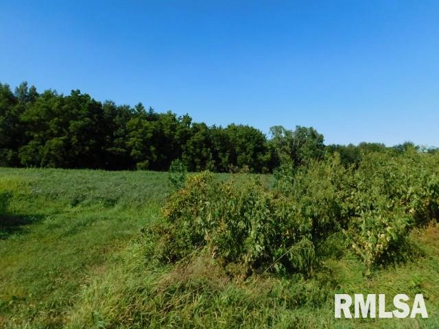 0 Hayes Road Tipton, IA 52772 - Photo 2 of 8 Gallery Image 2