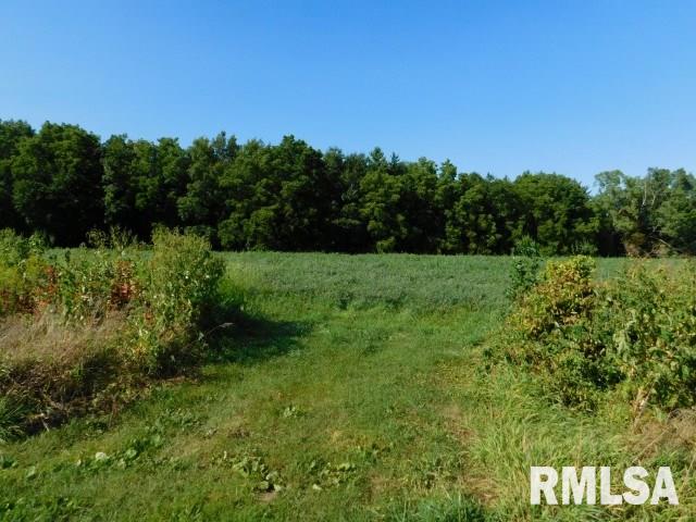 0 Hayes Road Tipton, IA 52772 - Photo 3 of 8 Gallery Image 3