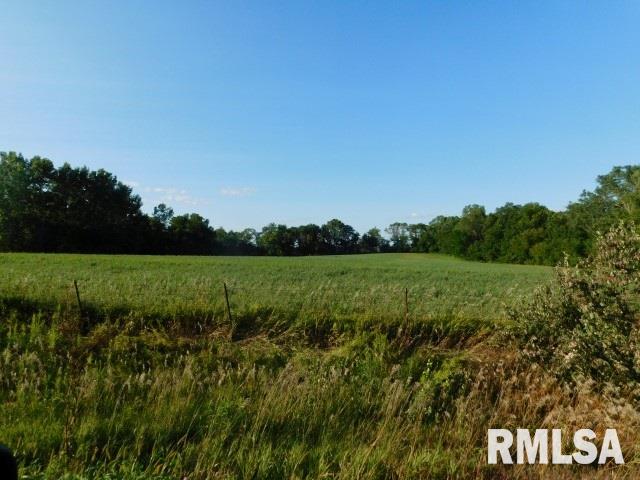 0 Hayes Road Tipton, IA 52772 - Photo 4 of 8 Gallery Image 4