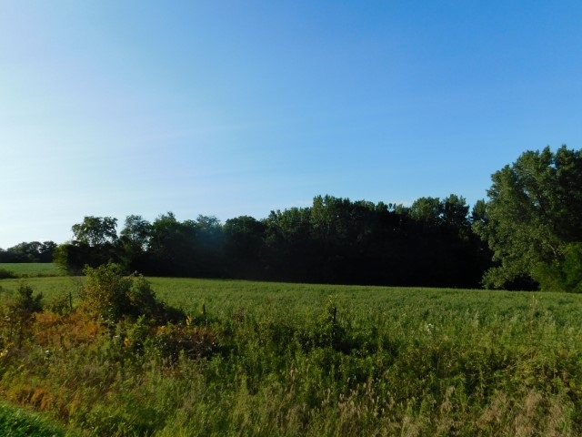 0 Hayes Road Tipton, IA 52772 - Photo 6 of 8 Gallery Image 6