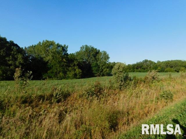 0 Hayes Road Tipton, IA 52772 - Photo 7 of 8 Gallery Image 7