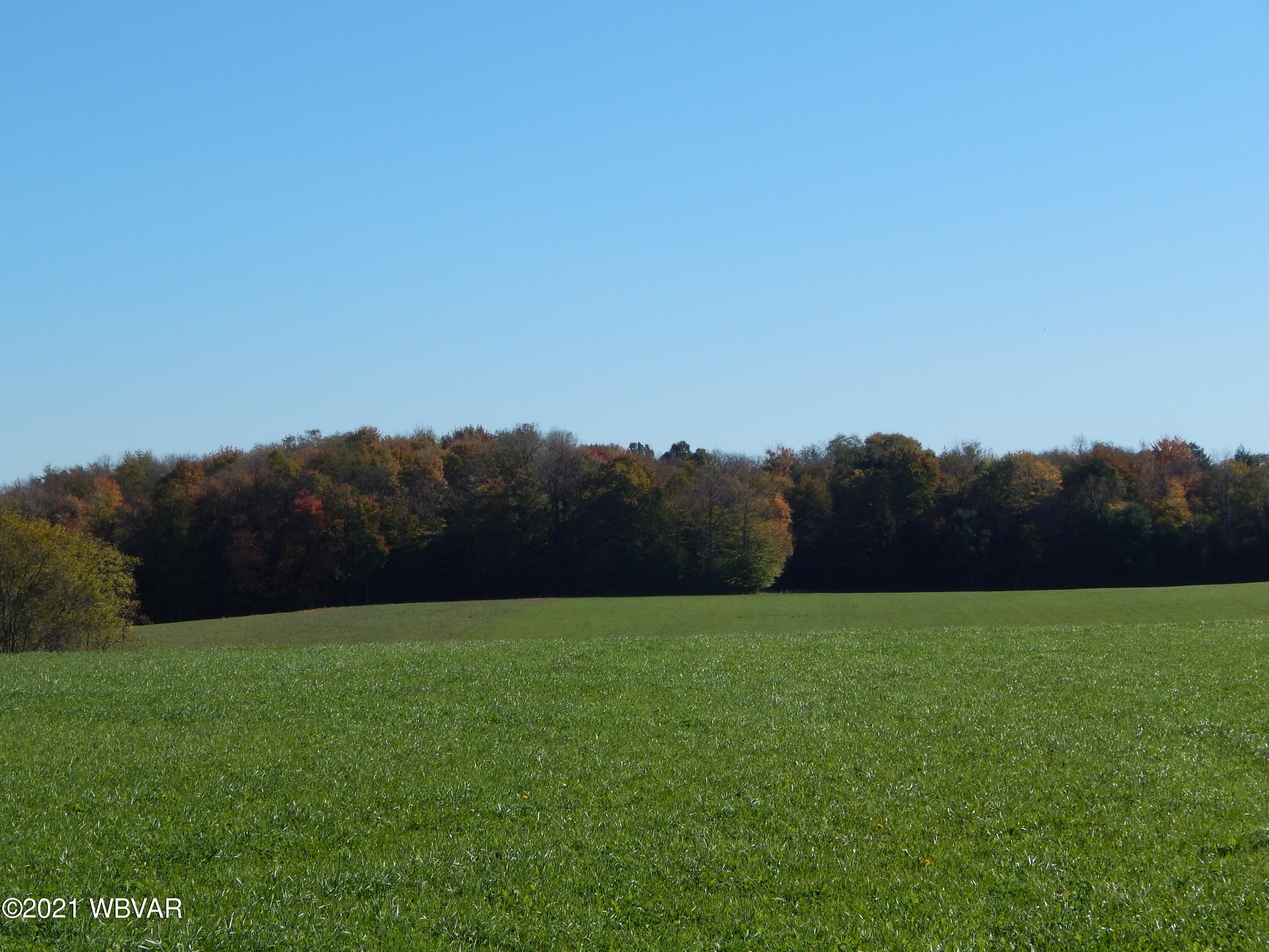0 Cogan House Road, Unit LOT 1 Trout Run, PA 17771 - Photo 7 of 7 Gallery Image 7