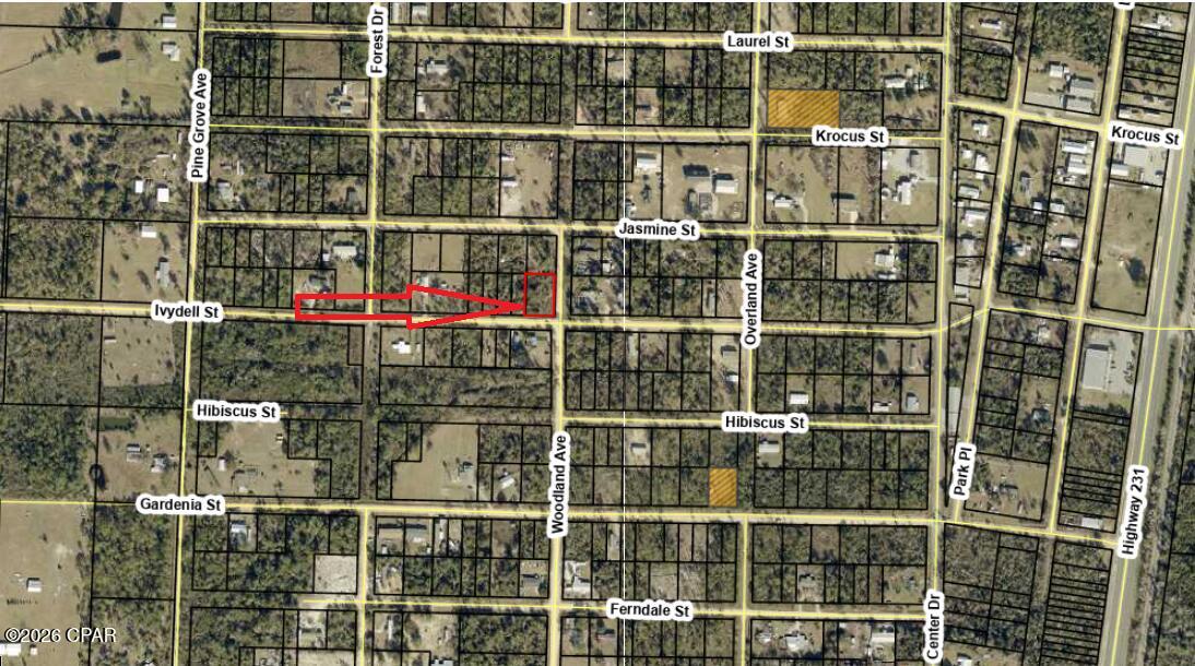 Tbd Ivydell Street Fountain, FL 32438 - Photo 5 of 8