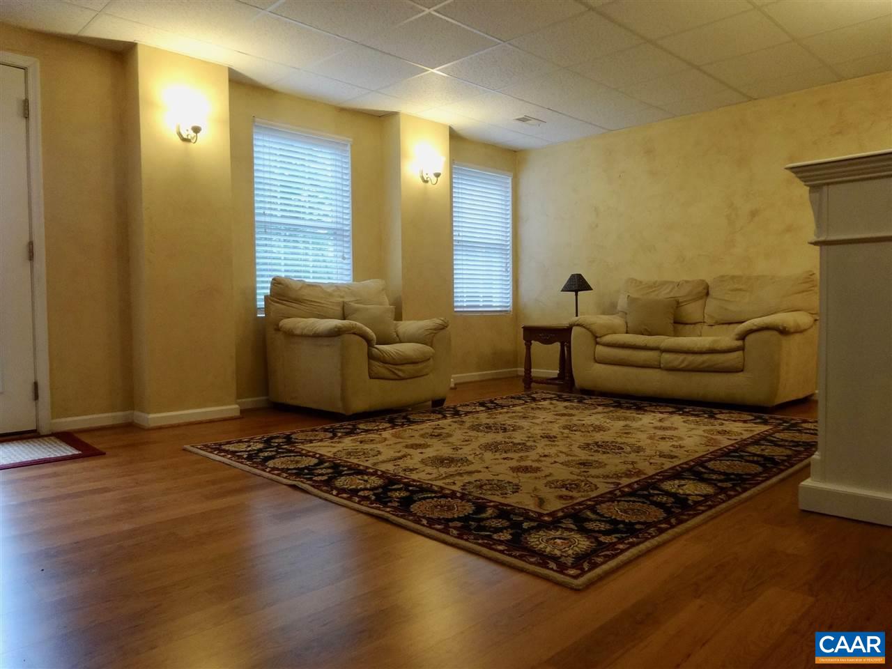 654 Miller School Road Charlottesville, VA 22903 - Photo 14 of 22 a living room with furniture and a rug