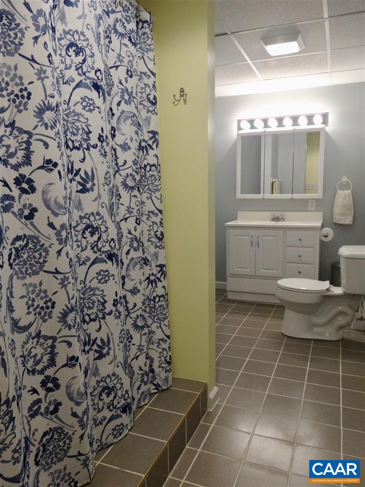 654 Miller School Road Charlottesville, VA 22903 - Photo 16 of 22 a bathroom with a toilet and a shower