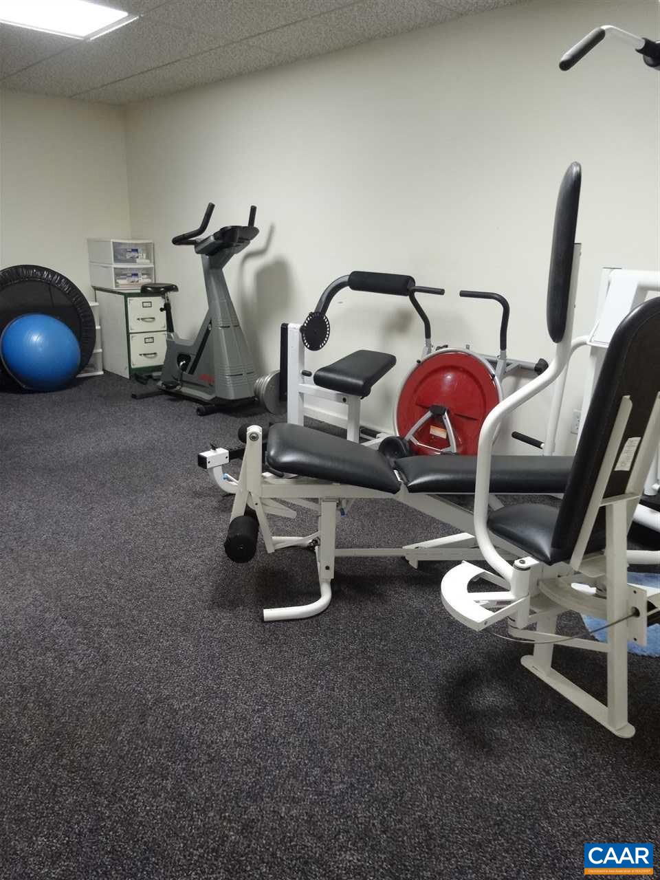 654 Miller School Road Charlottesville, VA 22903 - Photo 19 of 22 a view of a room with gym equipment
