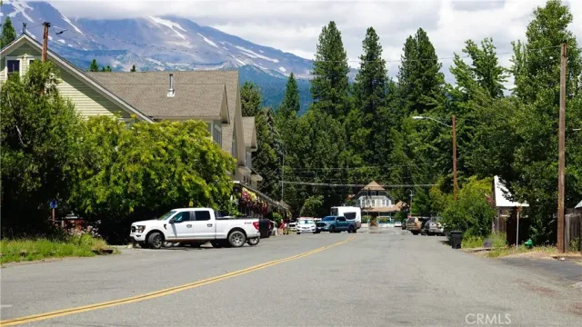 a sign broad in front of the tree