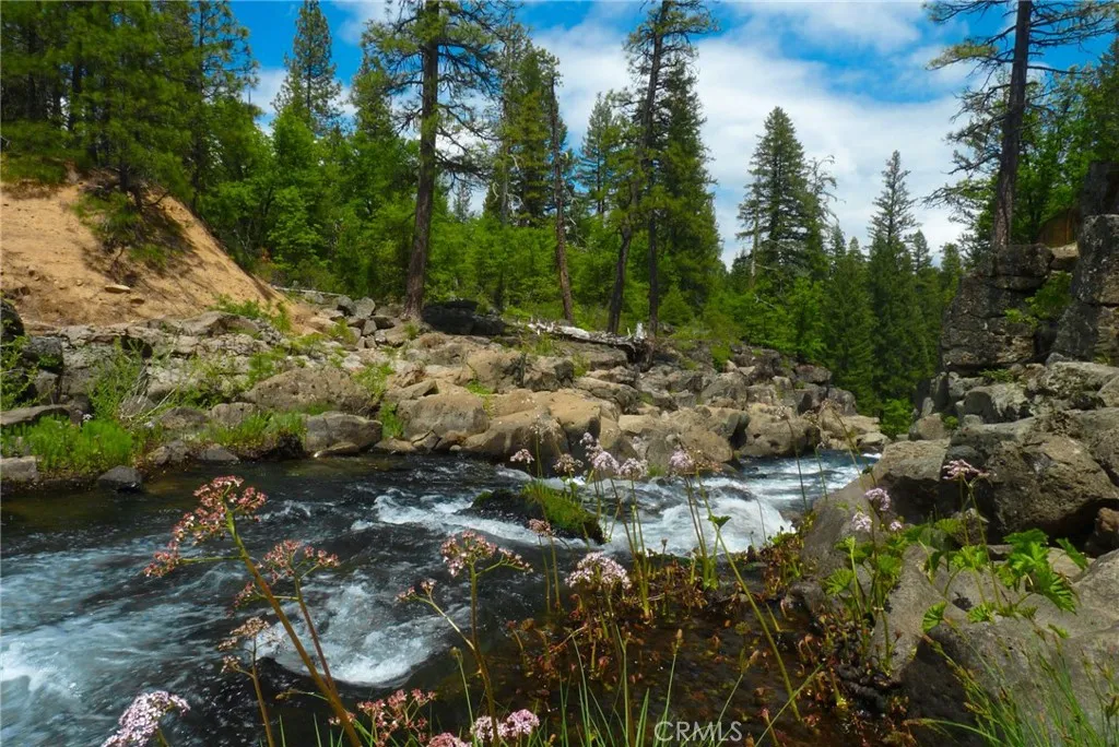 0 Echo McCloud, CA 96057 - Photo 17 of 32 a view of a forest with trees