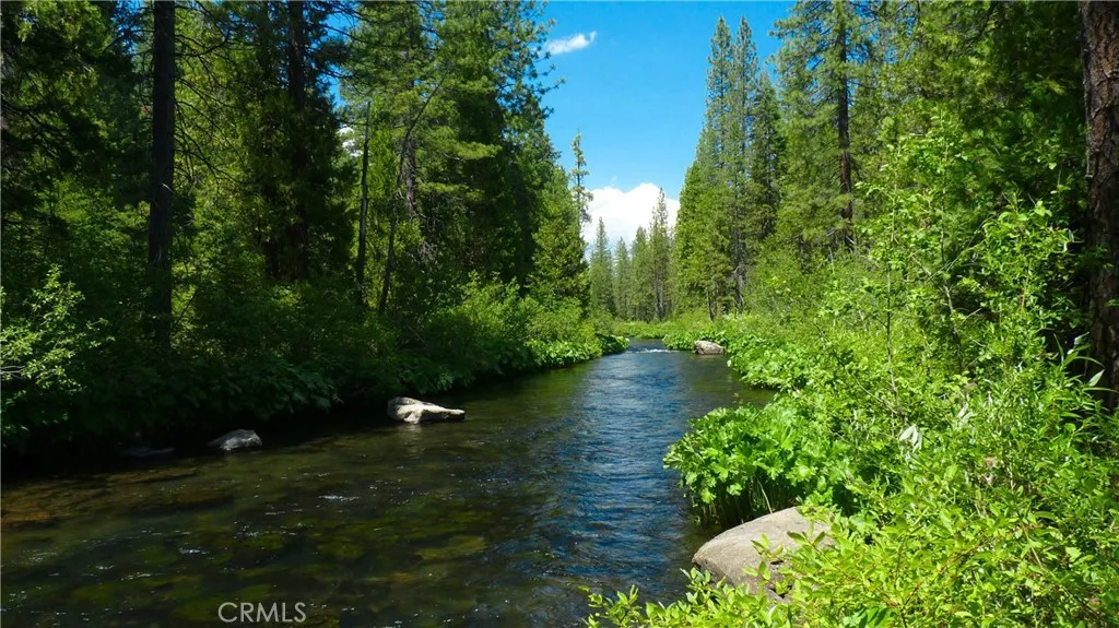 0 Echo McCloud, CA 96057 - Photo 19 of 32 a view of a garden with plants and large trees