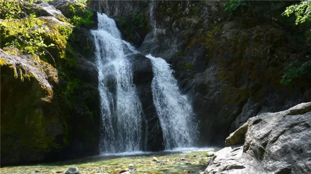 a view of a backyard of a house