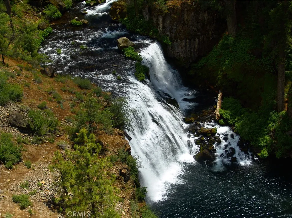 0 Echo McCloud, CA 96057 - Photo 21 of 32 a picture of trees