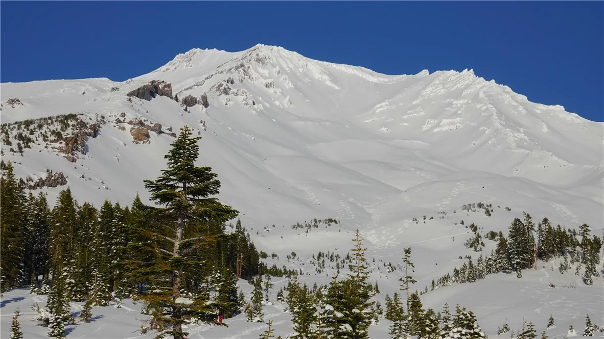 0 Echo McCloud, CA 96057 - Photo 25 of 32 a view of a snow in the mountains