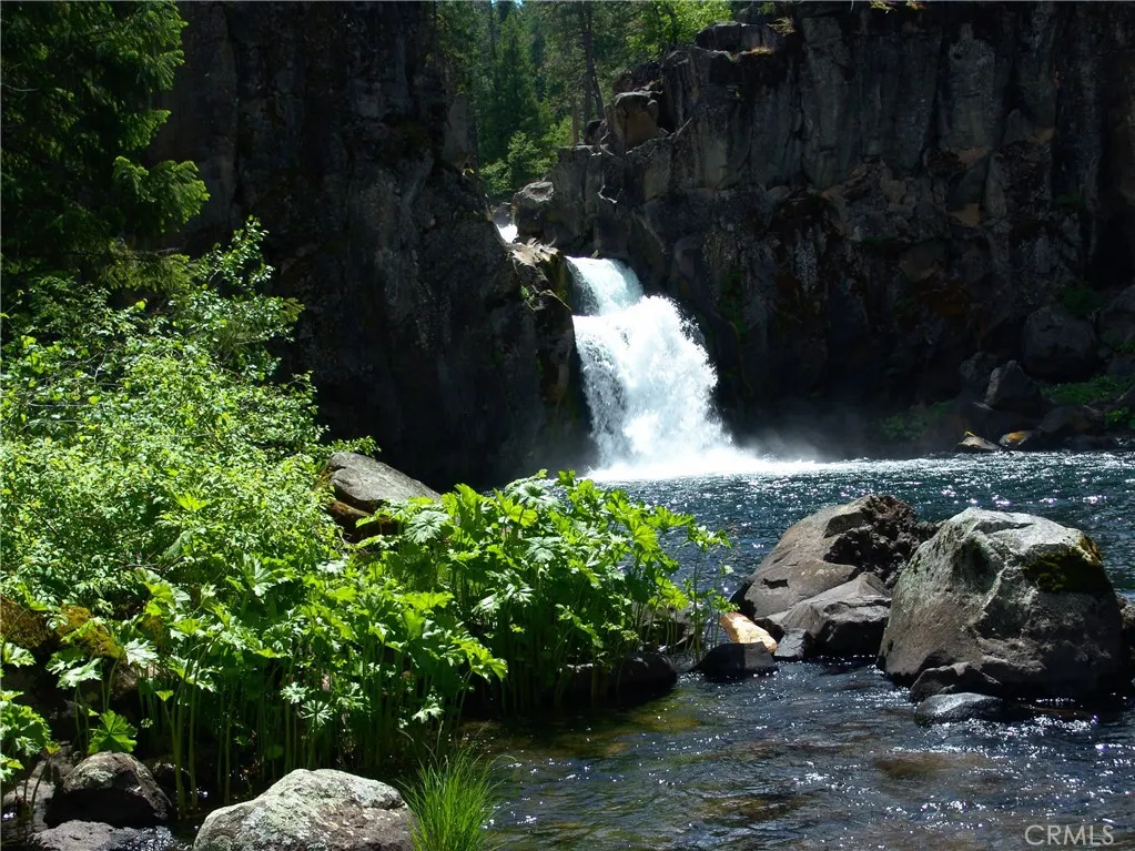 0 Echo McCloud, CA 96057 - Photo 30 of 32 a view of a backyard