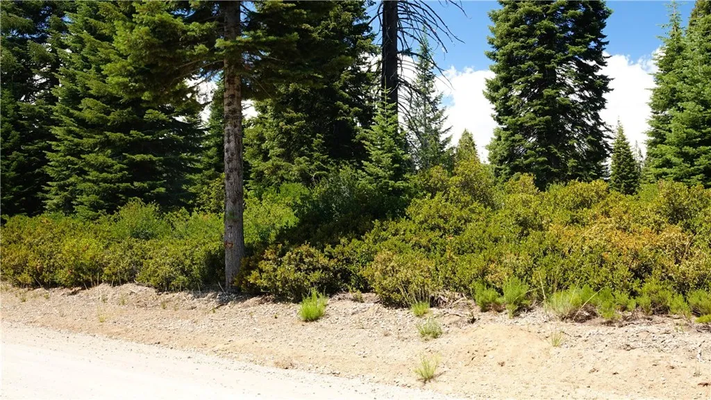 0 Echo McCloud, CA 96057 - Photo 3 of 32 a view of a yard covered in snow