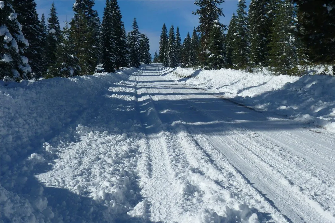 0 Echo McCloud, CA 96057 - Photo 31 of 32 a view of a yard with a snow on the road
