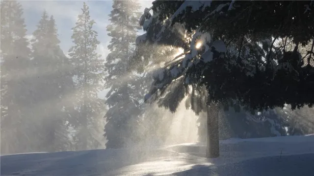 $39,000 | 0 Echo, McCloud, CA 96057