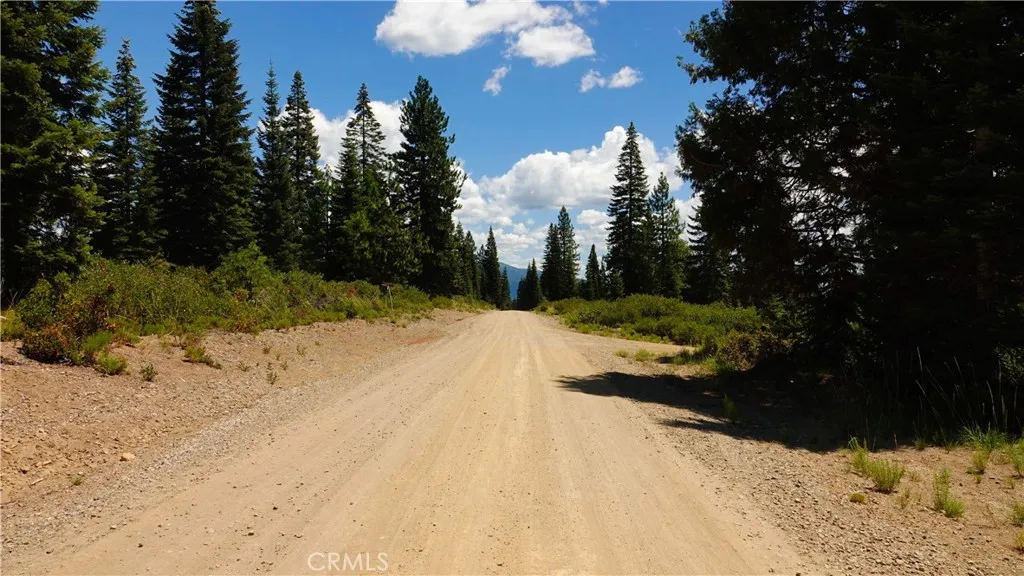 0 Echo McCloud, CA 96057 - Photo 4 of 32 a view of a yard with snow on the side of a road