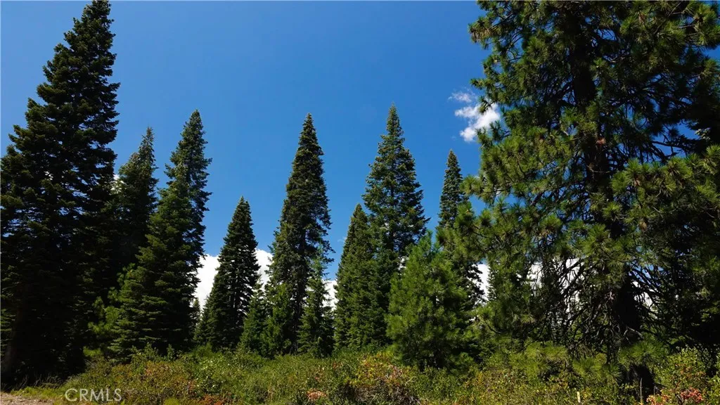 0 Echo McCloud, CA 96057 - Photo 7 of 32 a view of a city