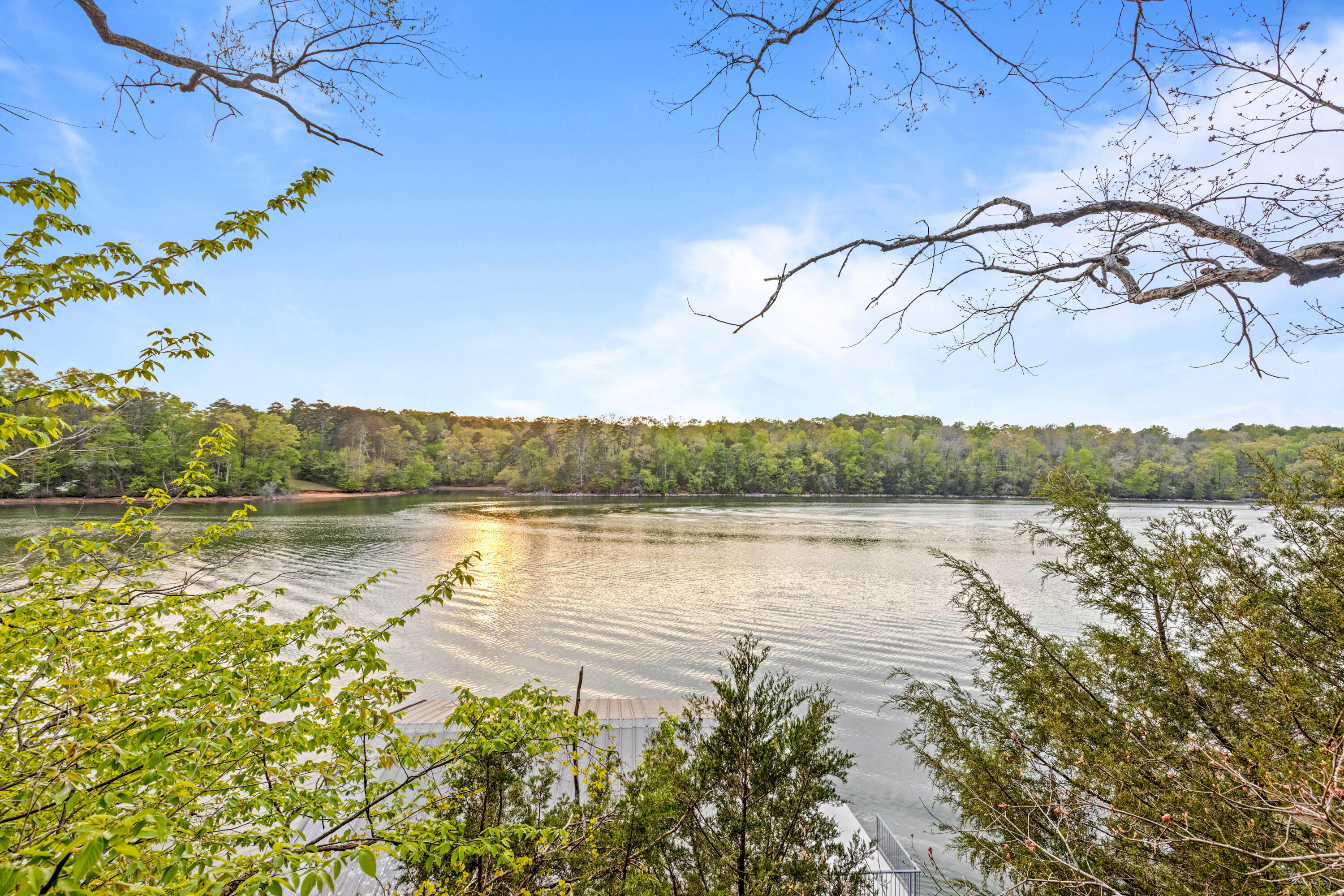979 Clift Cave Road Soddy Daisy, TN 37379 - Photo 3 of 106 CliftExt-25