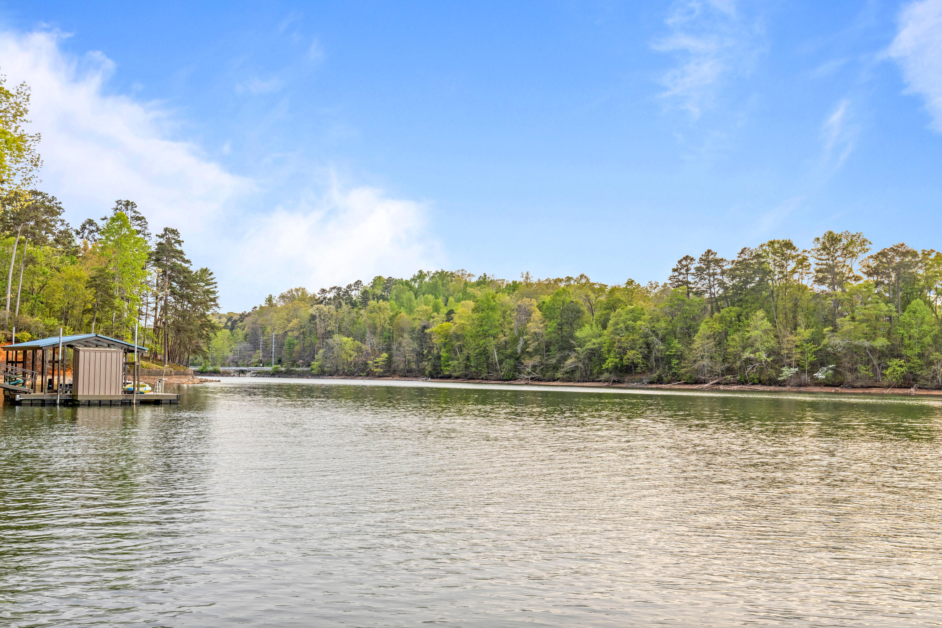 979 Clift Cave Road Soddy Daisy, TN 37379 - Photo 62 of 106 CliftExt-33