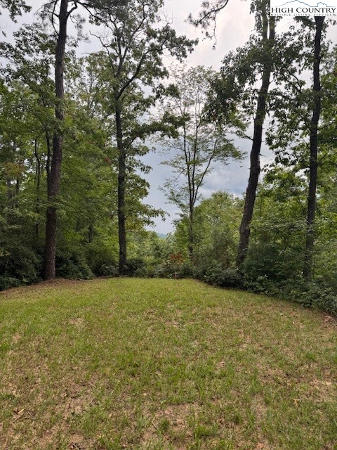 72 Rodeo Road Ferguson, NC 28624 - Photo 2 of 14 a view of a field with trees in the background