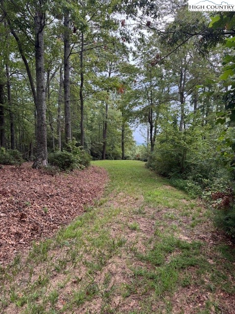 72 Rodeo Road Ferguson, NC 28624 - Photo 3 of 14 a view of a yard with a tree