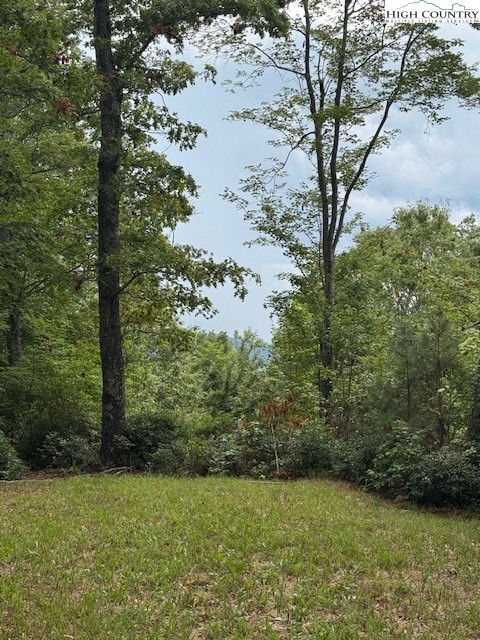 72 Rodeo Road Ferguson, NC 28624 - Photo 4 of 14 a view of a yard with a tree