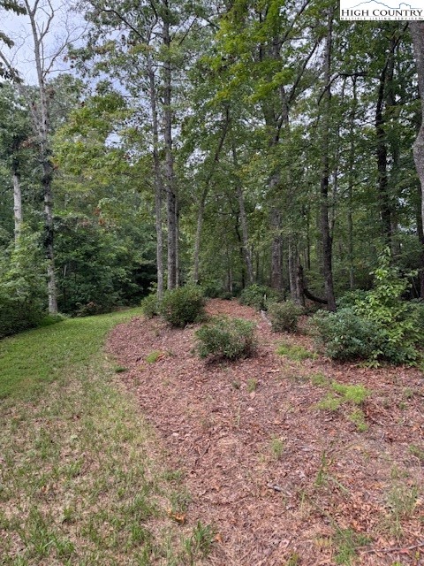 72 Rodeo Road Ferguson, NC 28624 - Photo 5 of 14 a view of a yard with a tree