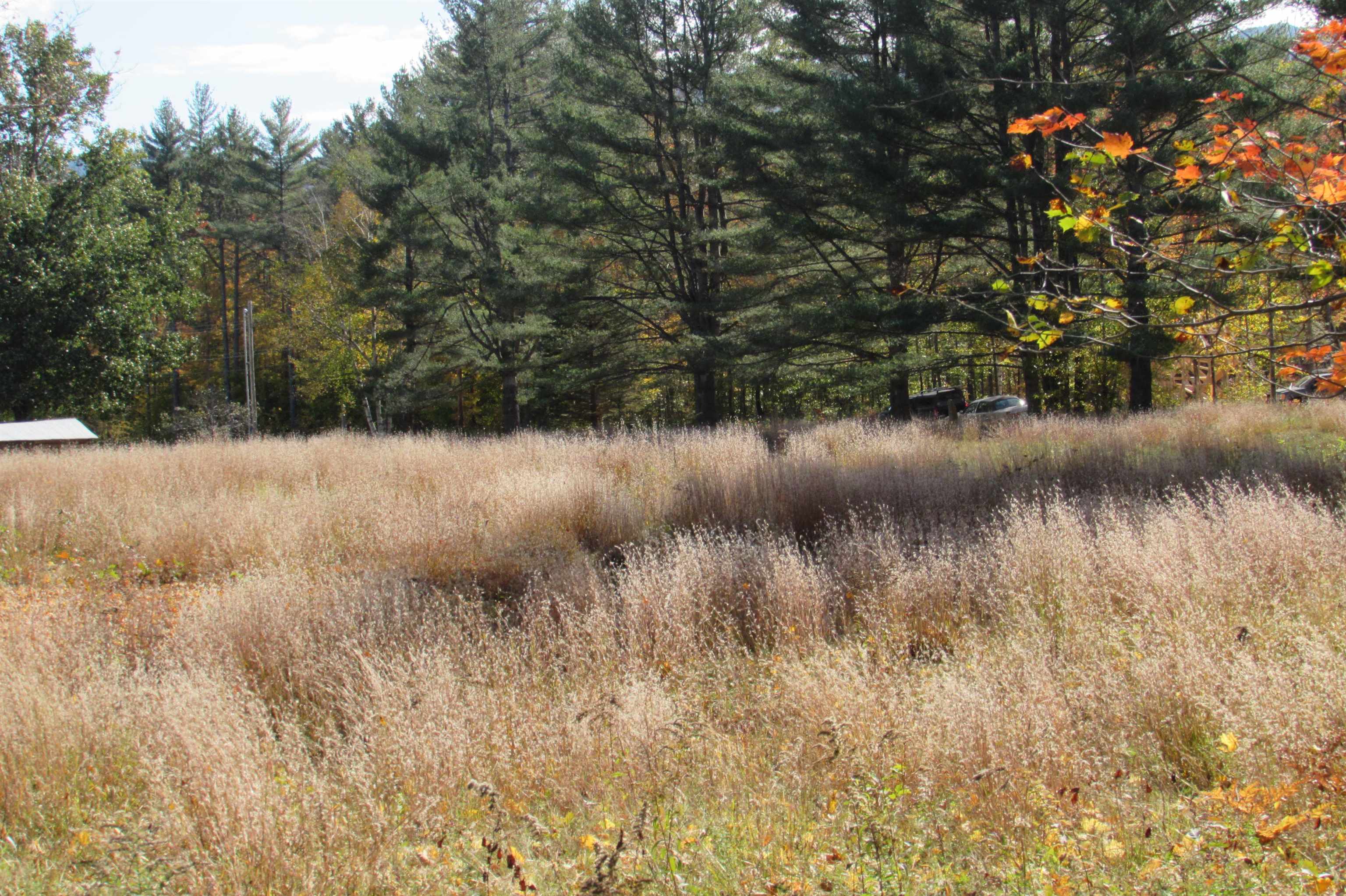 A Cobb Farm Road Bartlett, NH 03812 - Photo 3 of 6