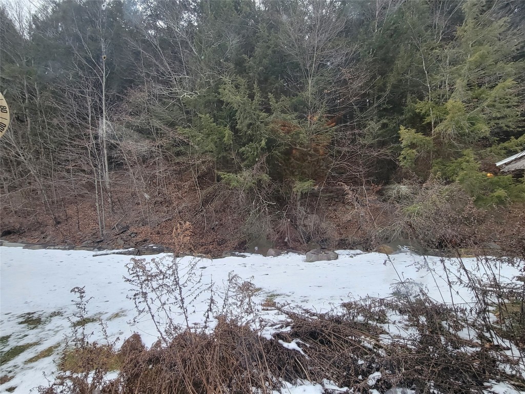 53 State Line Road Vestal, NY 13850 - Photo 13 of 23 Gallery Image 13