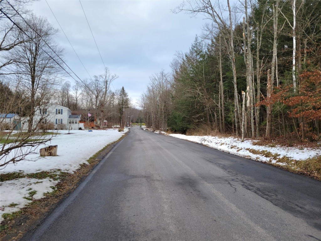 53 State Line Road Vestal, NY 13850 - Photo 22 of 23 Gallery Image 22