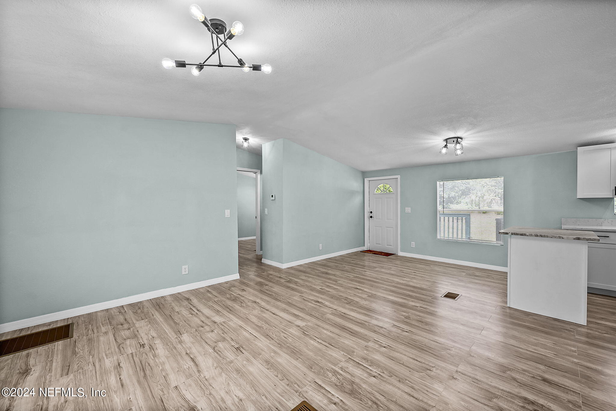 334 Ridge Road Satsuma, FL 32189 - Photo 8 of 18 LR