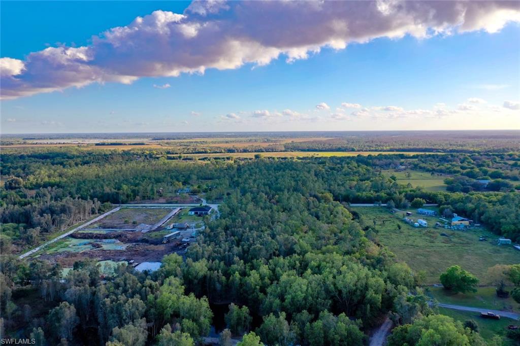0 Platt Road Naples, FL 34120 - Photo 13 of 16 Aerial view of a heavily wooded area