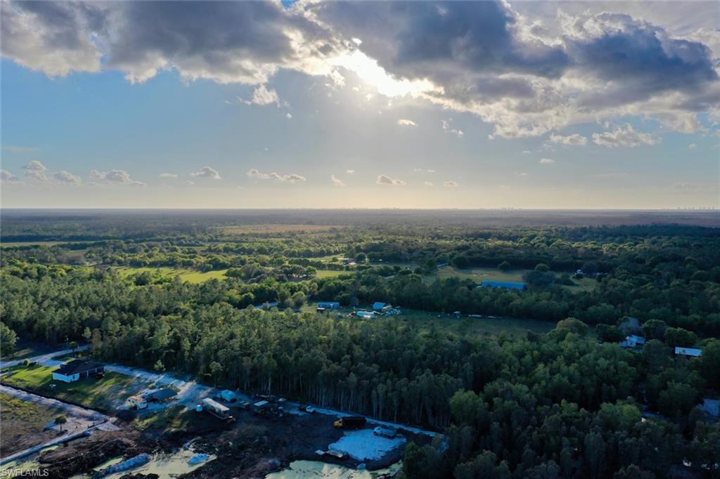 0 Platt Road Naples, FL 34120 - Photo 14 of 16 Bird's eye view of a forest