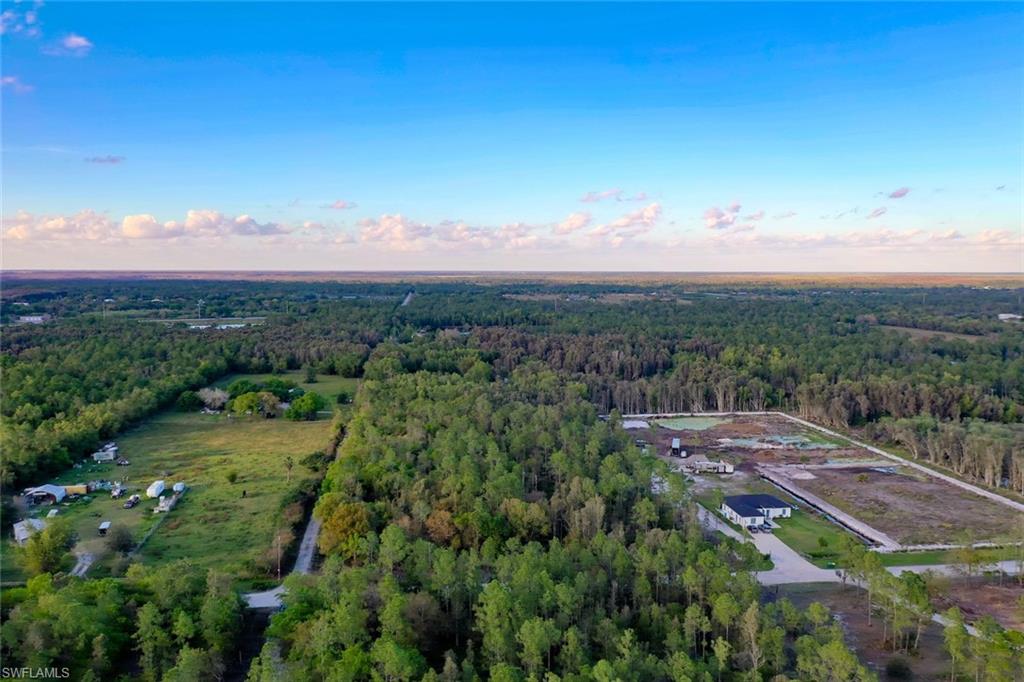 0 Platt Road Naples, FL 34120 - Photo 10 of 16 View of property location featuring a forest