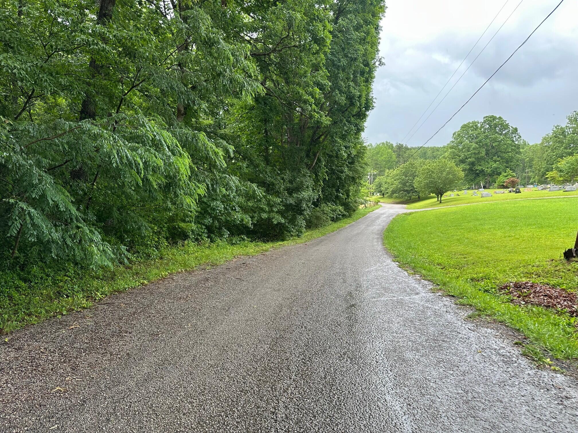 Lot 7 Sawmill Road, Unit LOT 7 Palmer, TN 37365 - Photo 11 of 12 3